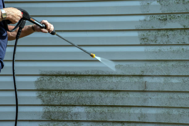 Best Roof Washing  in Hartington, NE