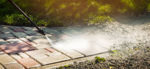 Best Solar Panel Cleaning  in Hartington, NE