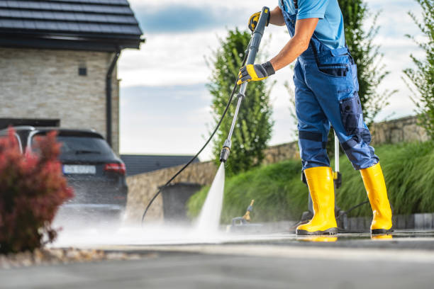 Best Sidewalk and Walkway Cleaning  in Hartington, NE